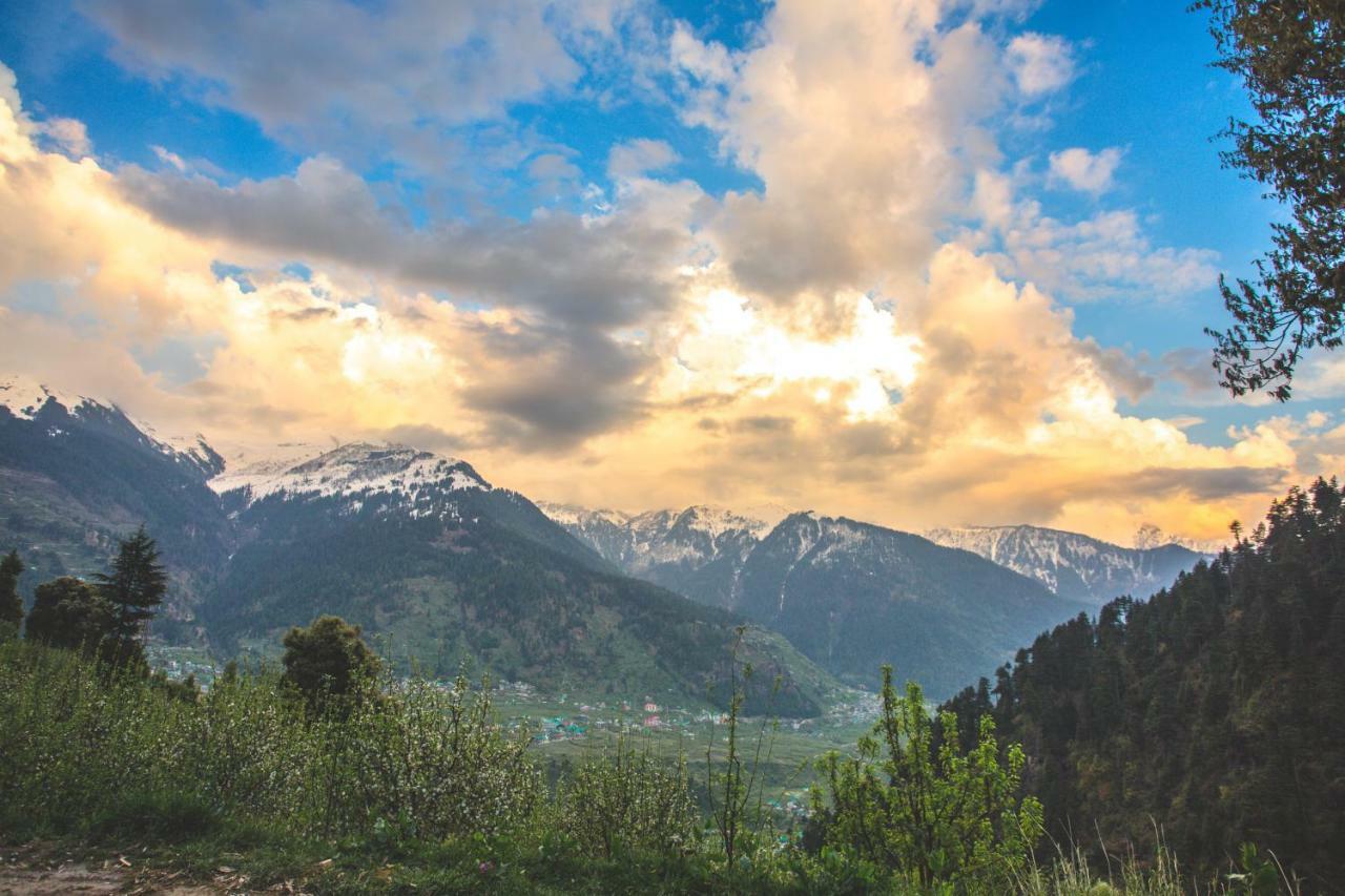 Pashmina Hotel Manali  Exterior photo